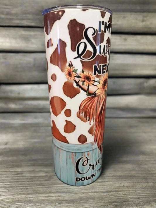 I'm not the sweet girl next door 20oz Tumbler DisAnDat