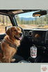 Jeep Dog Lifestyle
