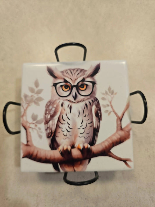 Fall Owls 4-inch Coasters Dis An Dat Tumbler Store