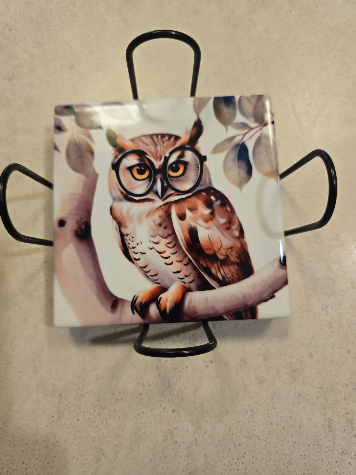 Fall Owls 4-inch Coasters Dis An Dat Tumbler Store
