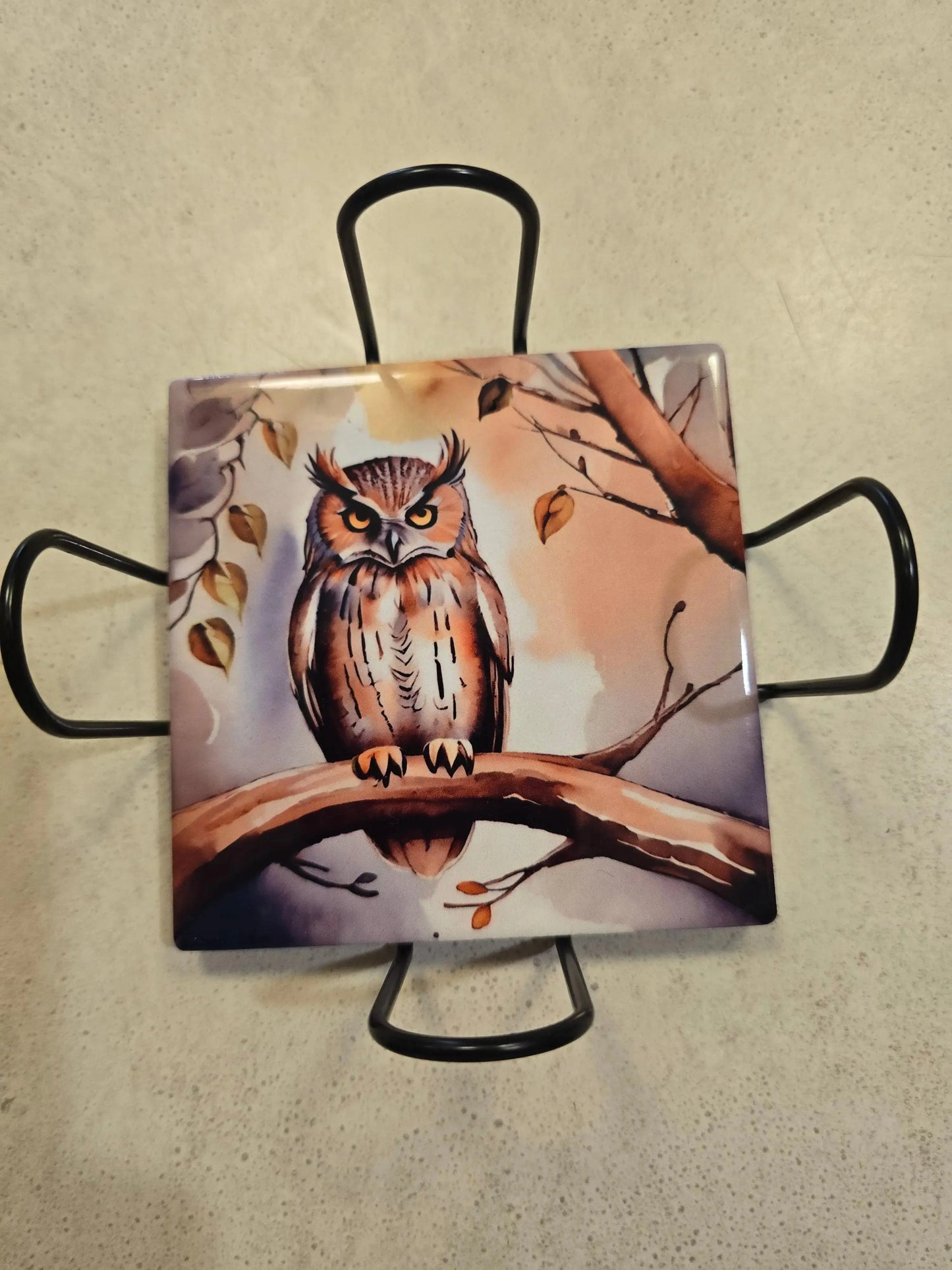Fall Owls 4-inch Coasters Dis An Dat Tumbler Store