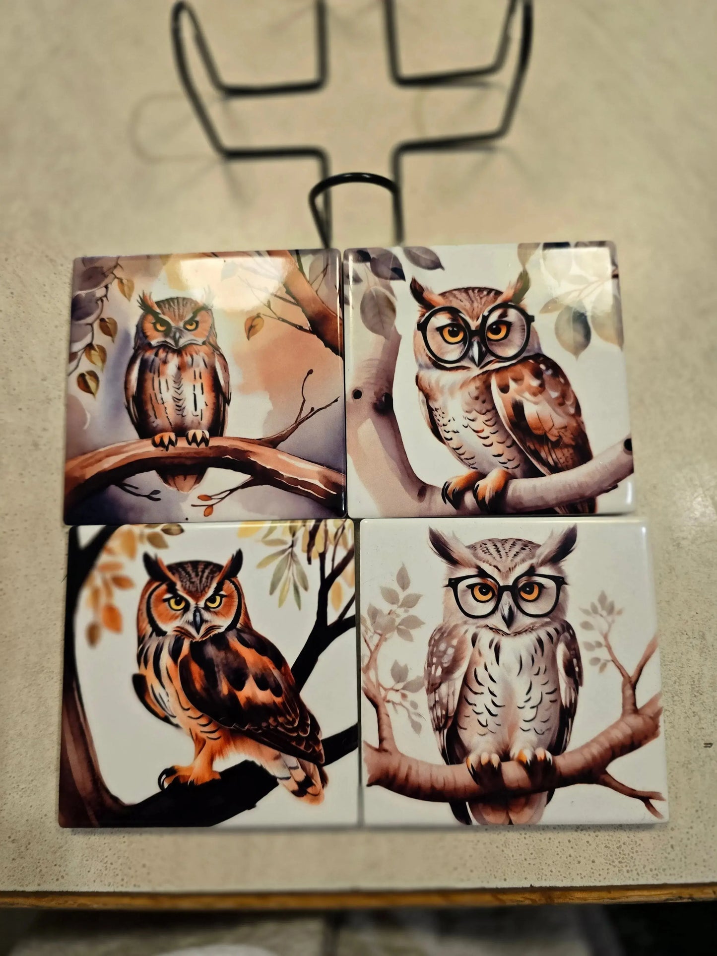 Fall Owls 4-inch Coasters Dis An Dat Tumbler Store