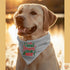 I make naughty look nice, Large Pet Bandana Dis An Dat Tumbler Store