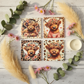 Highland Cow Coasters - Flat Lay