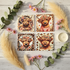 Highland Cow Coasters - Flat Lay